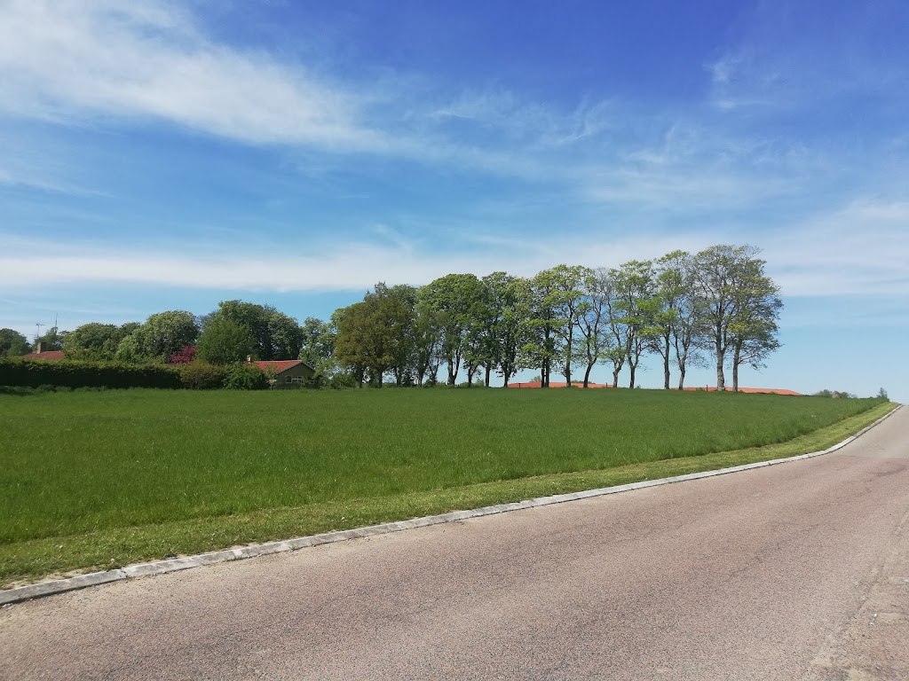 hillerod-radhus-hillerod-kommune-15.jpeg