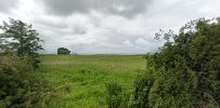 lykkesholmsbugt-arreso-8.jpeg