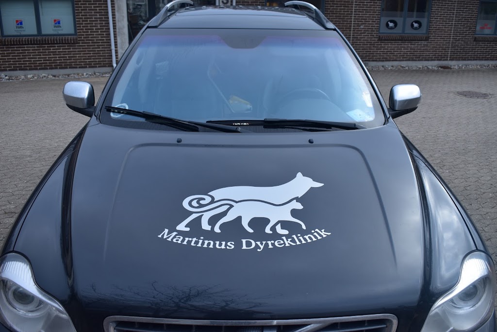 martinus-dyreklinik-4.jpeg