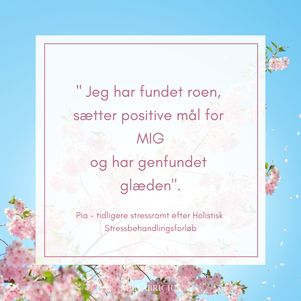 mie-fabricius-stressbehandling-stresscoaching-meditation-12.jpeg