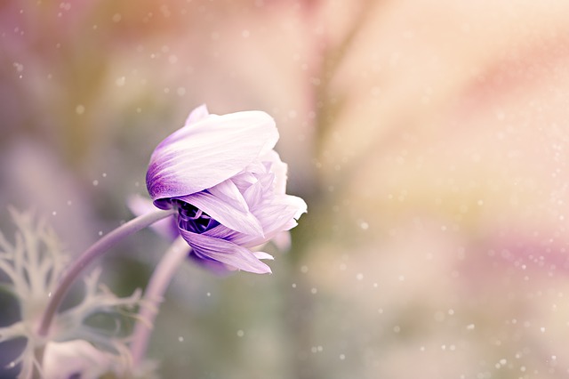 mie-fabricius-stressbehandling-stresscoaching-meditation-2.jpeg