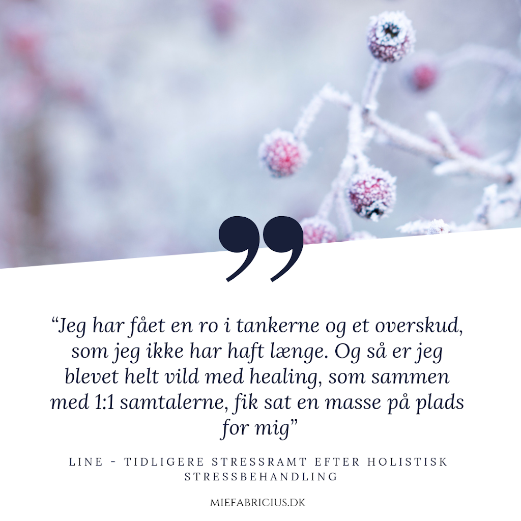 mie-fabricius-stressbehandling-stresscoaching-meditation-9.jpeg
