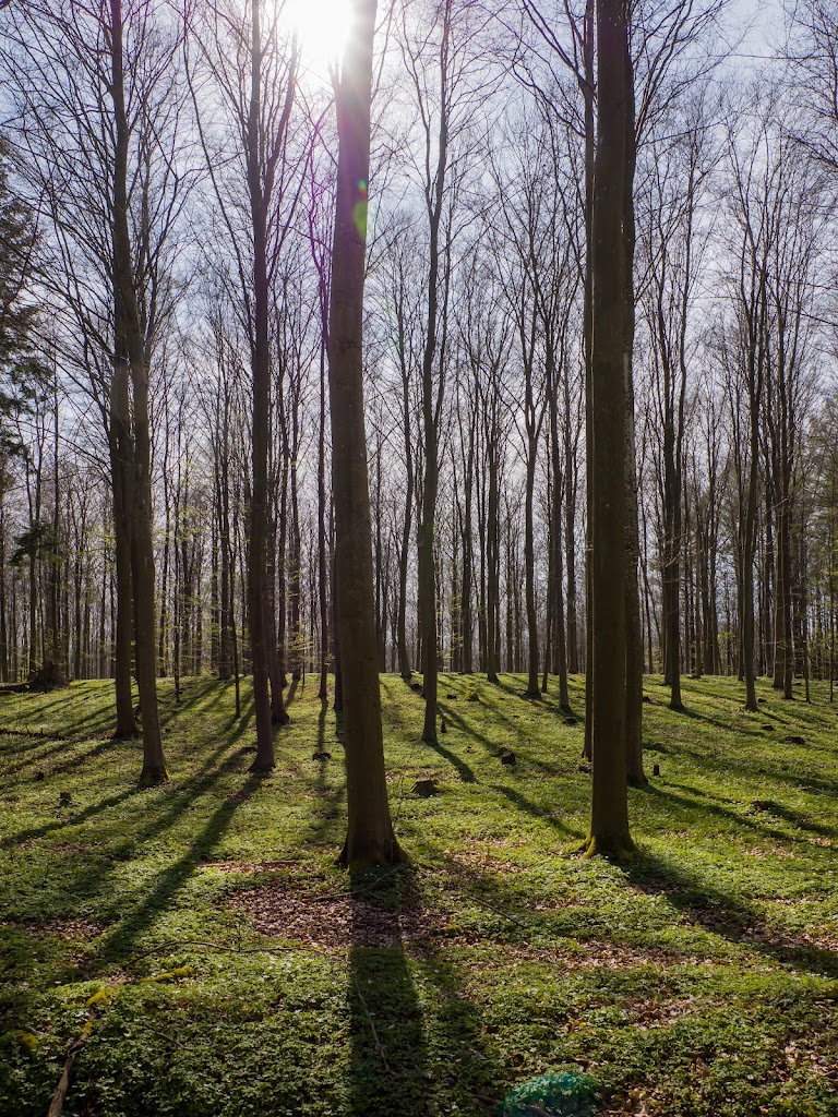 nejede-vesterskov-parkeringsplads-17.jpeg