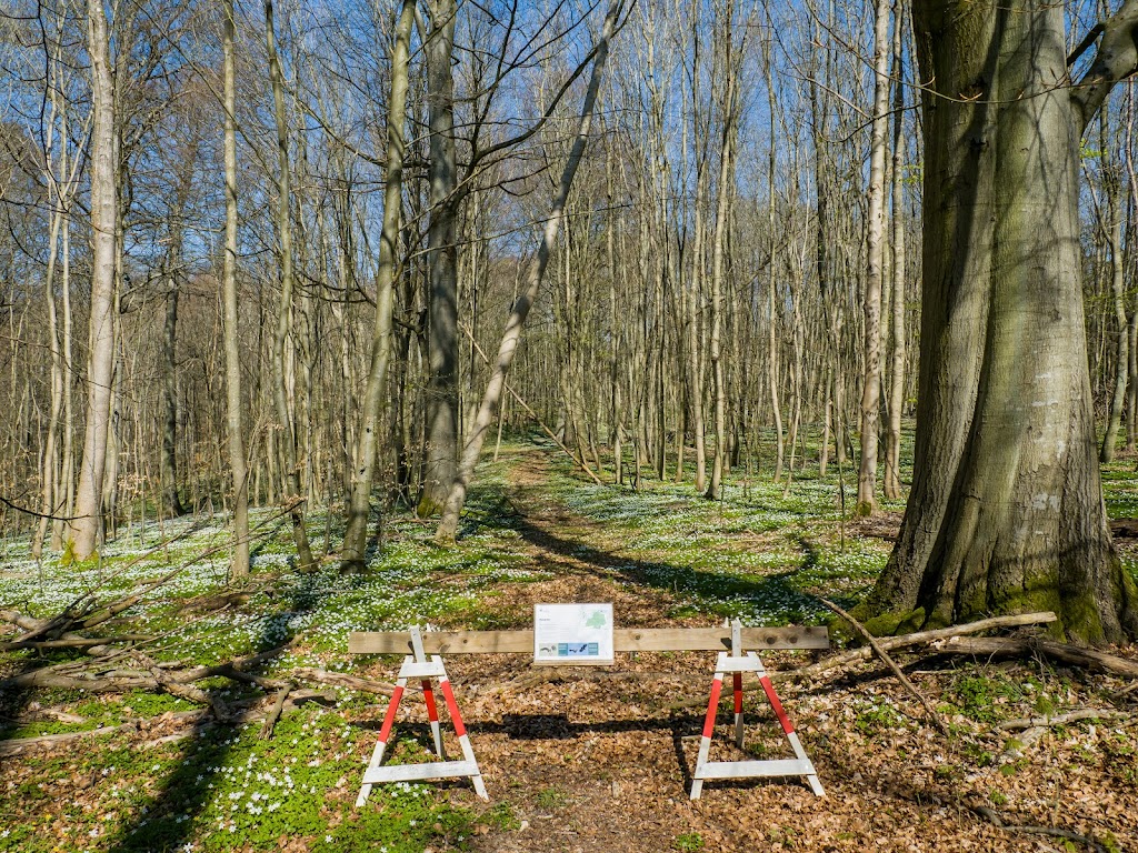 nejede-vesterskov-parkeringsplads-18.jpeg