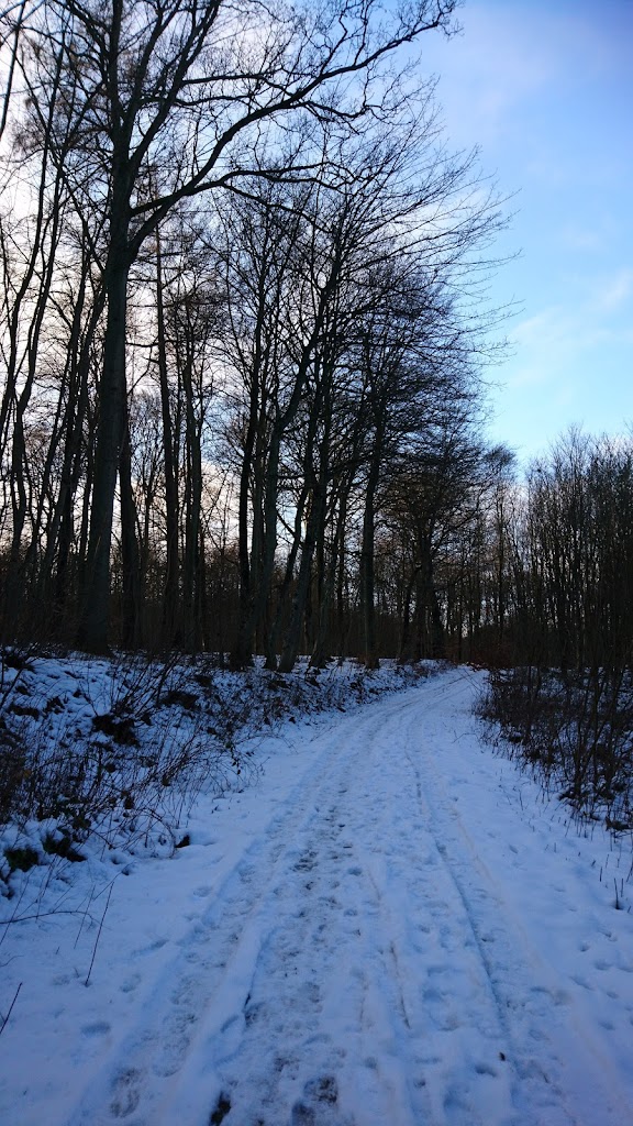 nejede-vesterskov-parkeringsplads-6.jpeg