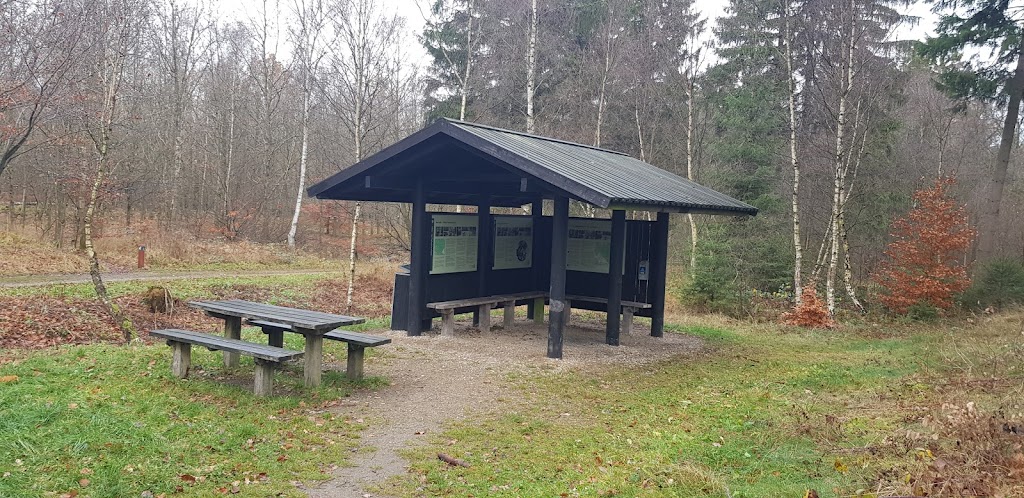 parkeringsplads-store-dyrehave-3.jpeg