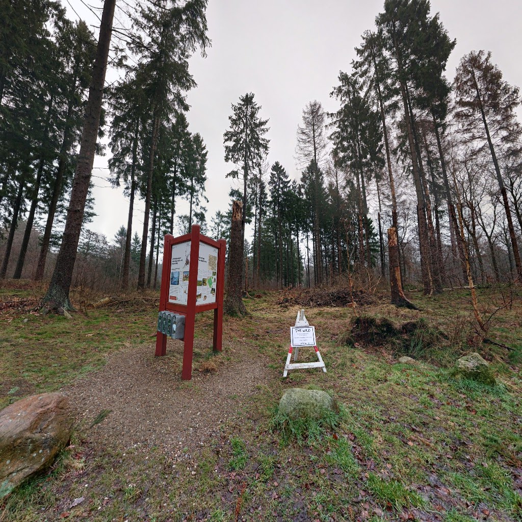 parkeringsplads-store-dyrehave-7.jpeg