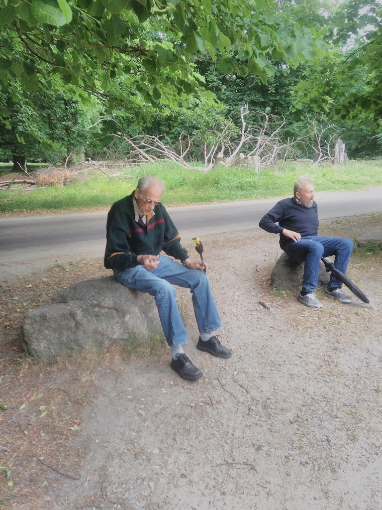 plejehjemmet-alholmhjemmet-8.jpeg