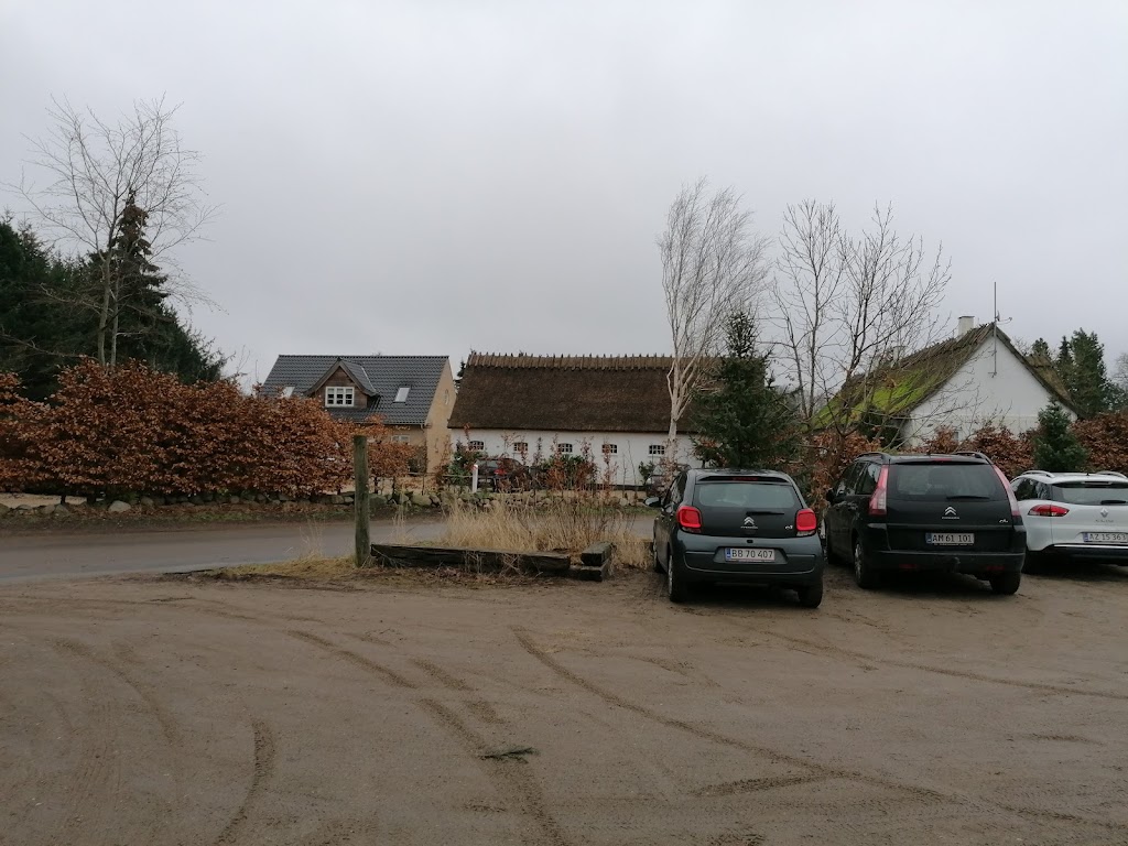sivertsens-juletraeer-parcelgarden-hillerod-1.jpeg