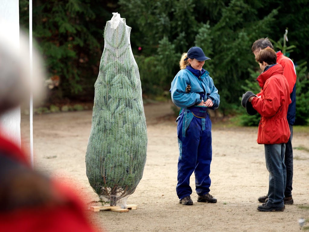 sivertsens-juletraeer-parcelgarden-hillerod-10.jpeg