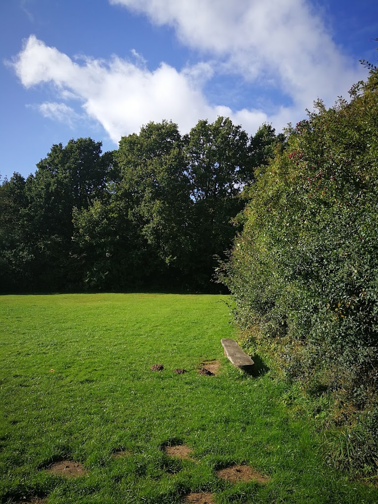 skansebakken-14.jpeg