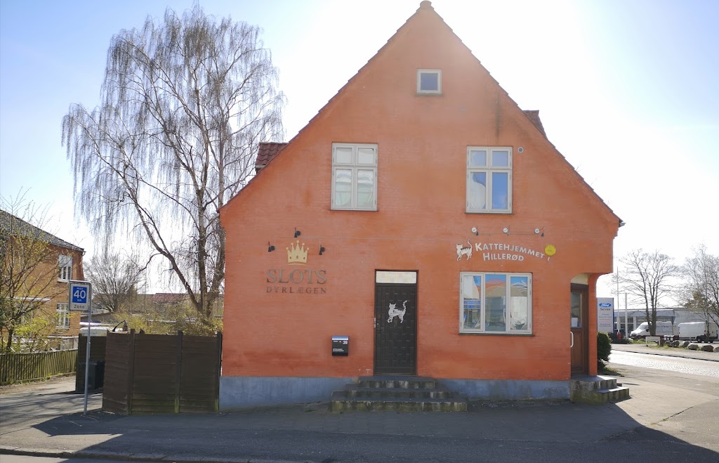 slotsdyrlaegen-den-mobile-dyrlaege-0.jpeg