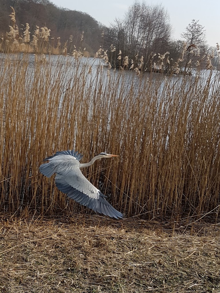 teglgardssoen-0.jpeg