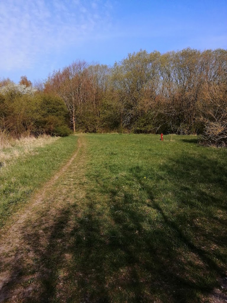 tyskerplantagen-10.jpeg