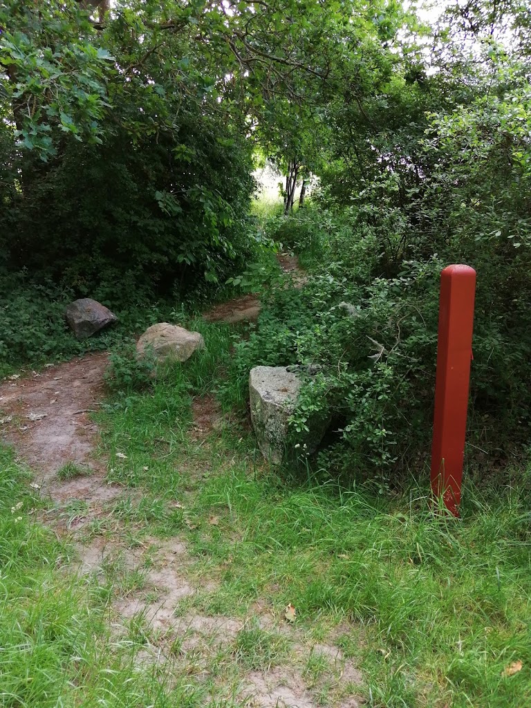 tyskerplantagen-11.jpeg