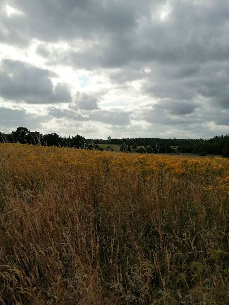 tyskerplantagen-8.jpeg