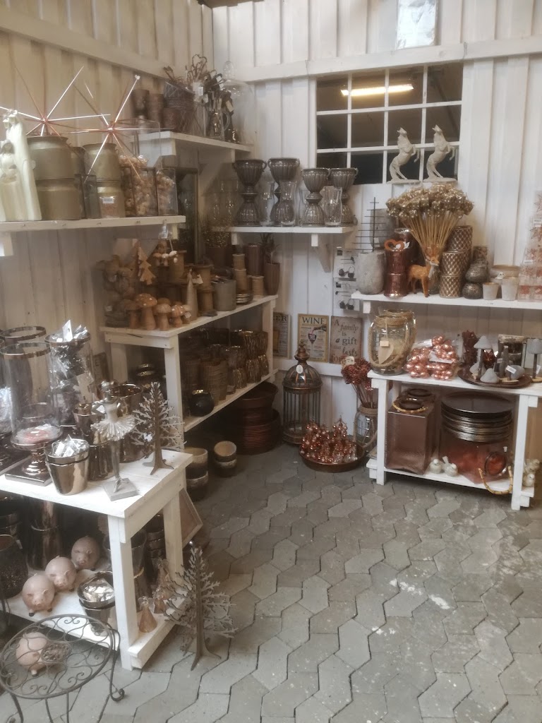 audebo-havecenter-8.jpeg