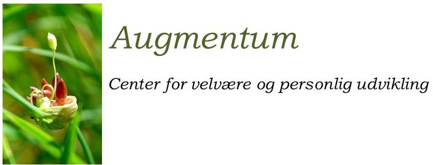 augmentum-center-for-wellness-and-personal-development-8.jpeg