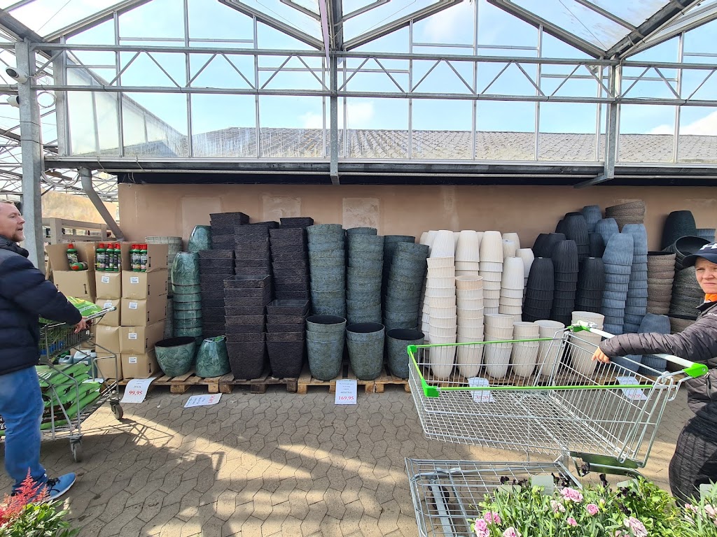 billigblomst-holbaek-14.jpeg