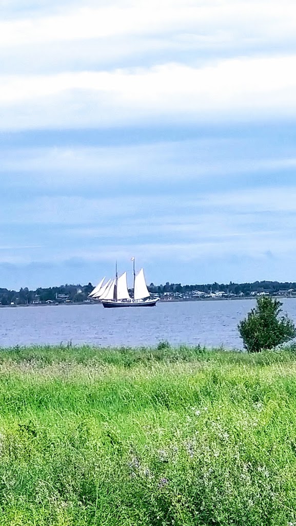 holbaek-fjord-5.jpeg