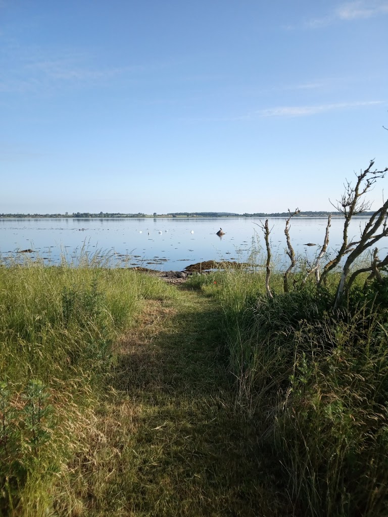 holbaek-fjord-7.jpeg
