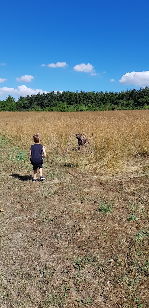 holbaek-naturskole-12.jpeg