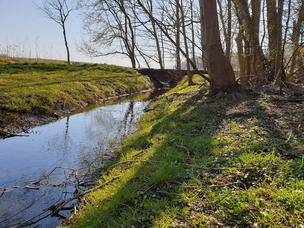 holbaek-naturskole-15.jpeg