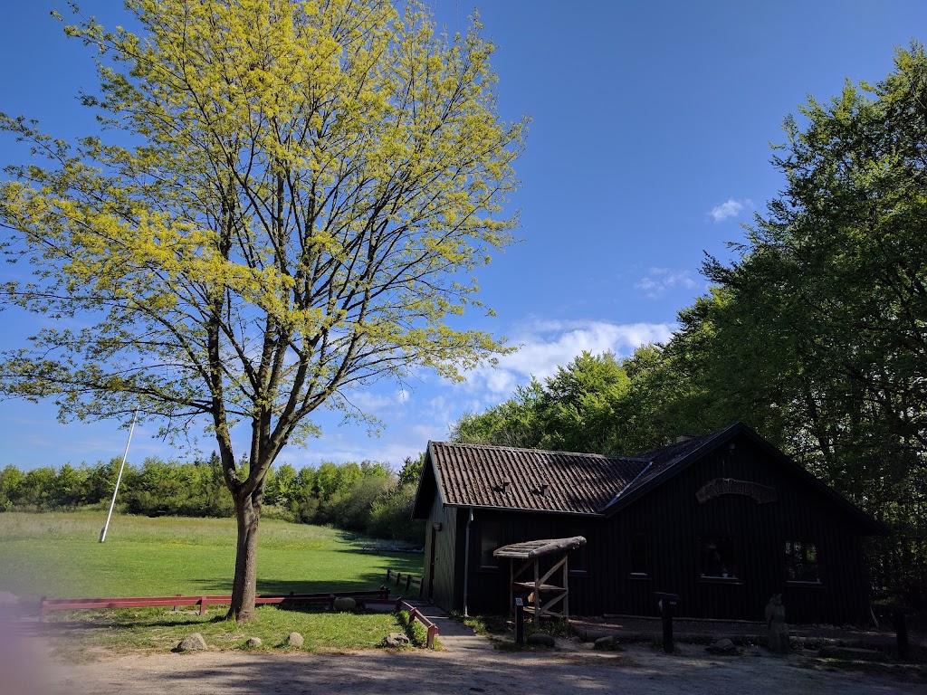 holbaek-naturskole-17.jpeg