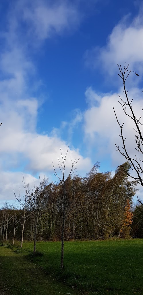holbaek-naturskole-4.jpeg