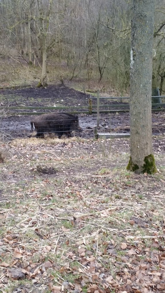 holbaek-naturskole-6.jpeg