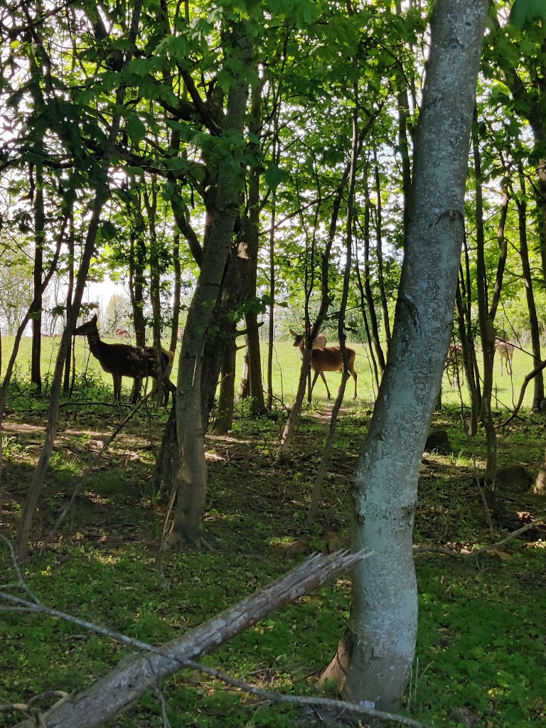 holbaek-naturskole-9.jpeg