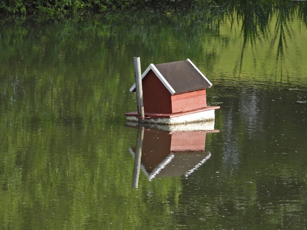 holbaek-og-omegns-fugleforening-1.jpeg