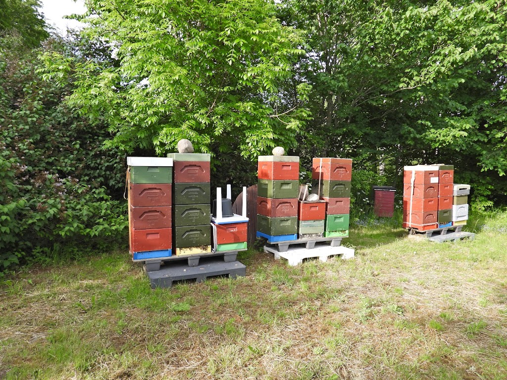 holbaek-og-omegns-fugleforening-16.jpeg