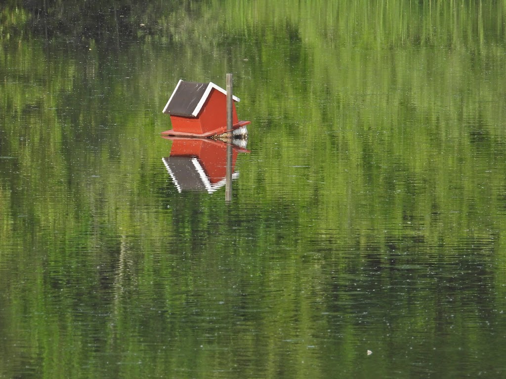 holbaek-og-omegns-fugleforening-18.jpeg