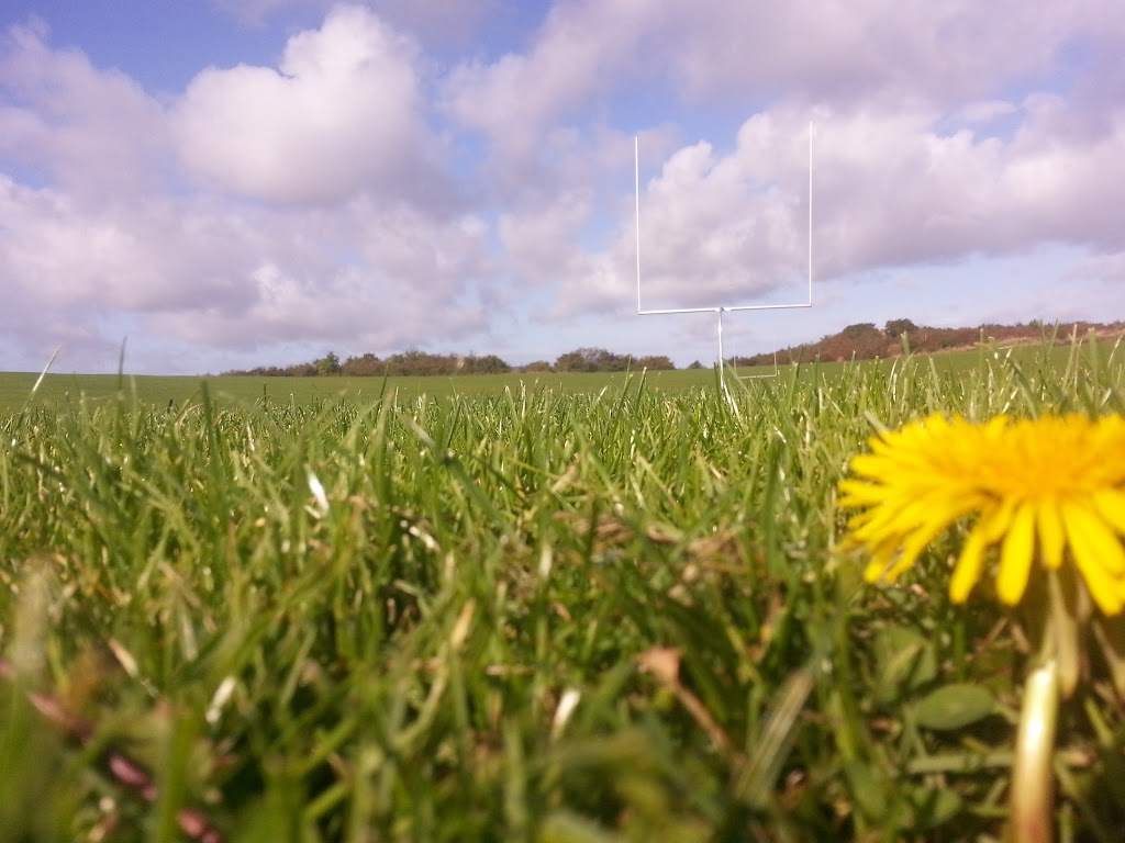 holbaek-red-devils-1.jpeg