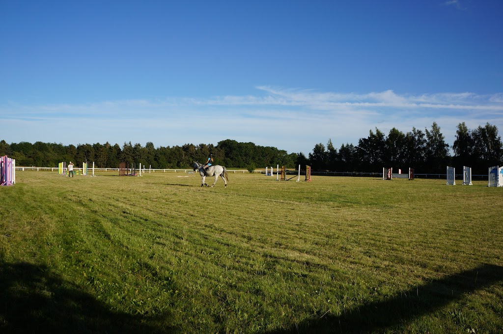 holbaek-rideklub-1.jpeg