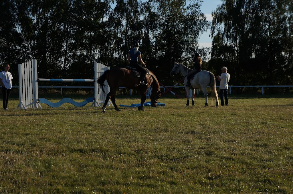 holbaek-rideklub-2.jpeg