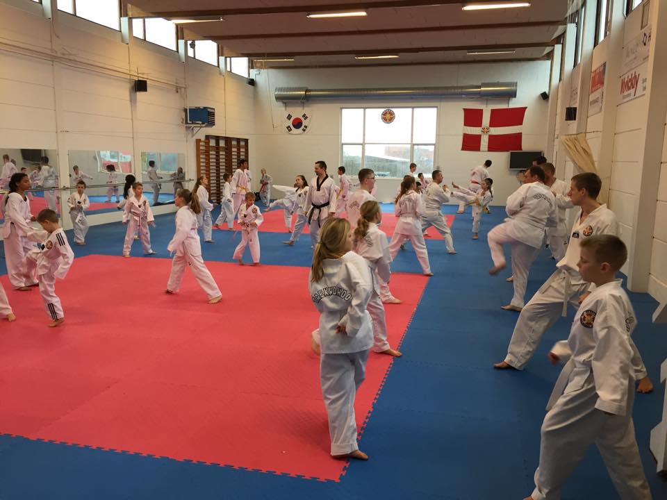 holbaek-taekwondo-klub-1.jpeg
