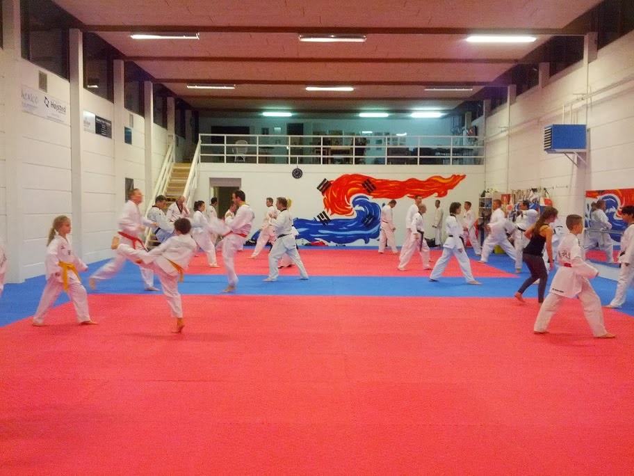 holbaek-taekwondo-klub-2.jpeg