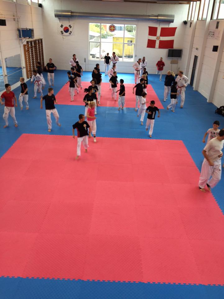 holbaek-taekwondo-klub-5.jpeg