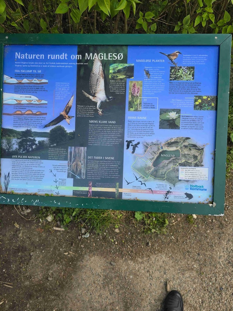 magleso-3.jpeg