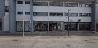 zizzi-holbaek-0.jpeg