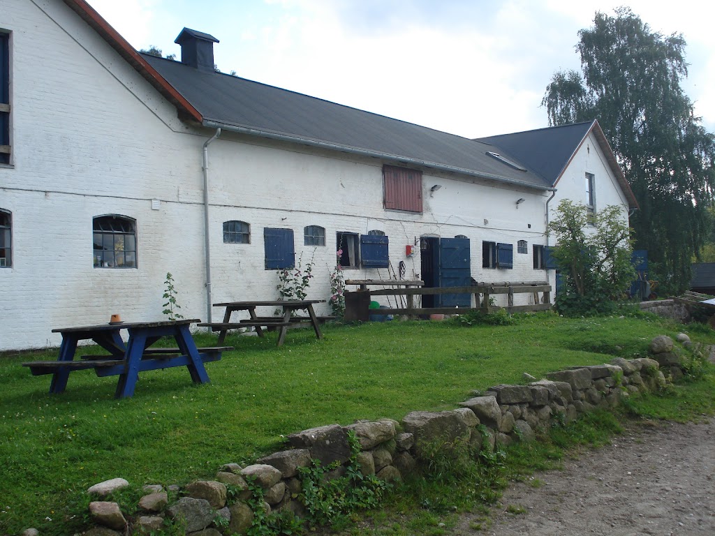 attemosegaard-adm-v-marie-nygard-ussing-0.jpeg