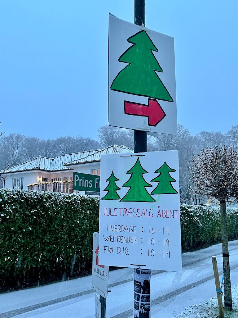 barners-jul-prins-frederiks-juletraeer-juletraessalg-1.jpeg