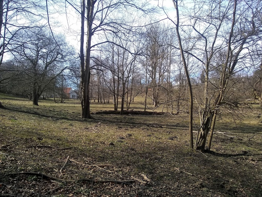 degneengen-0.jpeg