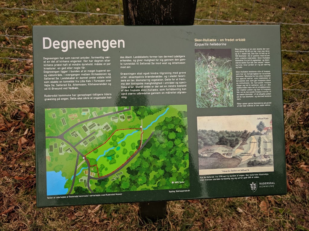 degneengen-2.jpeg