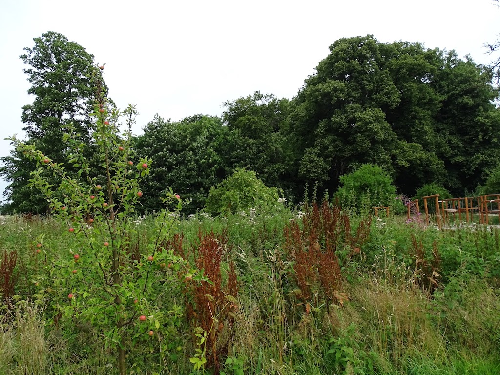 forest-playground-mariehoj-gl-holte-16.jpeg