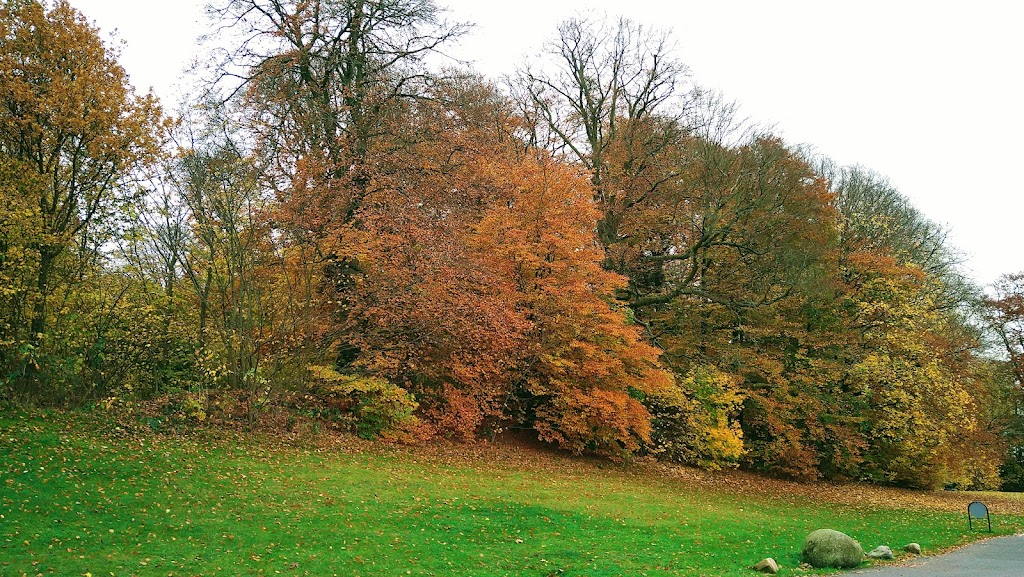 forest-playground-mariehoj-gl-holte-8.jpeg