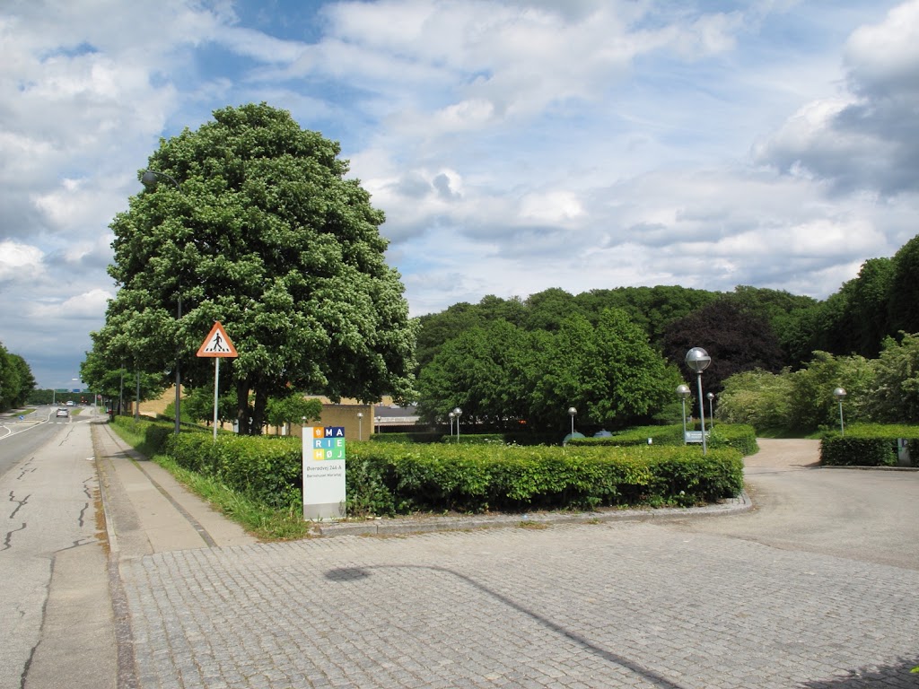frivilligcenter-rudersdal-2.jpeg