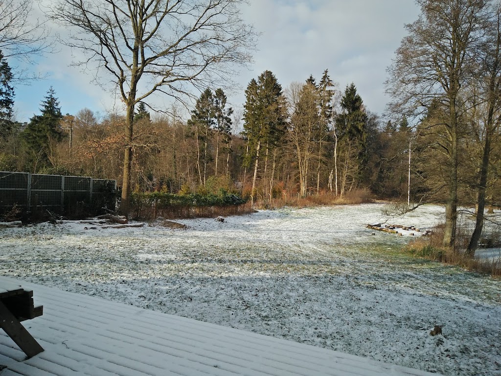 hellerud-12.jpeg